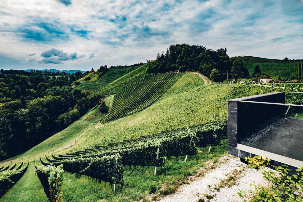 Отель Weingut Essgut Schlafgut Sabathihof-Dillinger Гланц-ан-дер-Вайнштрасе Экстерьер фото