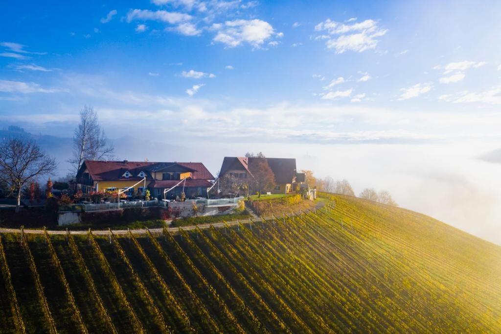 Отель Weingut Essgut Schlafgut Sabathihof-Dillinger Гланц-ан-дер-Вайнштрасе Экстерьер фото