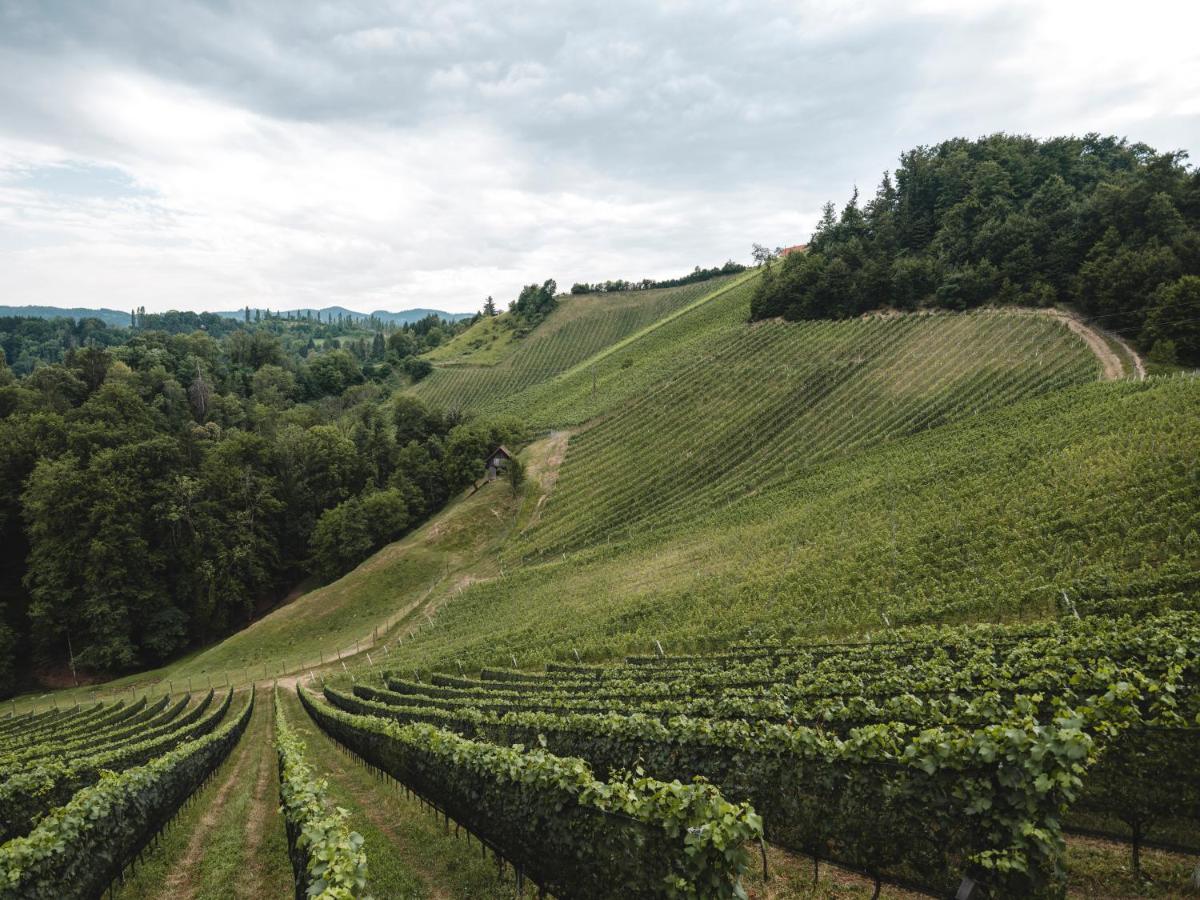 Отель Weingut Essgut Schlafgut Sabathihof-Dillinger Гланц-ан-дер-Вайнштрасе Экстерьер фото